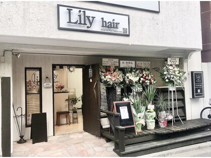 リリー(Lily)の写真