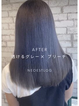 ネオエストログ(NeoestLog) グレーカラー + ブリーチ