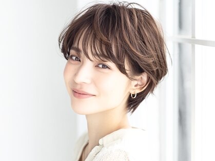 フリージア(freesia)の写真