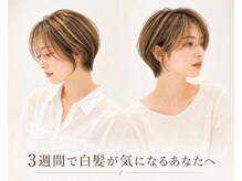 スラッシュ ホワイト(SLASH white)の雰囲気（［白髪ぼかし/ハイライト/ショート/髪質改善/縮毛矯正/姫路］）