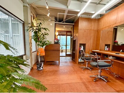 ユー(yuu)の写真