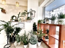 ヴォレ(voler)の雰囲気（サロンの中にある観葉植物店BETTY GREENオープンしました）