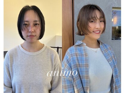 アニモ(animo)の写真