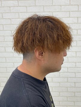 ルピナス(Lupinus) ツイストスパイラル