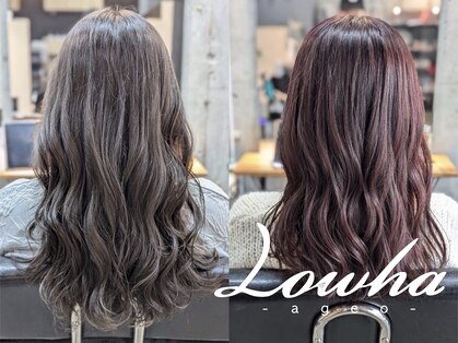 ローハ アゲオ(Lowha -ageo-)の写真