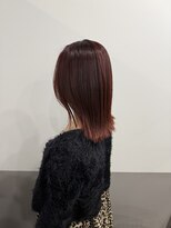 ドッグスター(dog star)&nbsp;シングルカラー透明感ボルドー [登戸/向ヶ丘遊園]