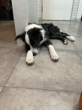 街の小さな美容室ビー(街の小さな美容室be.) 僕つかれたよお