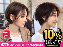 シュモレ フェリーク 検見川店