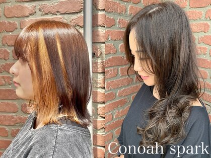 コノア スパーク(Conoah spark)の写真