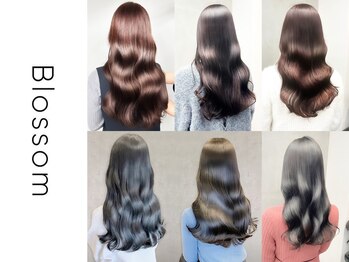 Blossomひばりヶ丘 【髪質改善/縮毛矯正/白髪染め/韓国/メンズ/レイヤーカット】