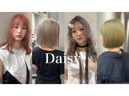 デイジー(Daisy)の写真
