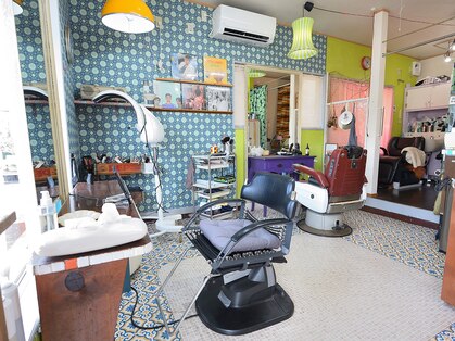 アロア(aroa)の写真