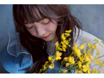 エヌスリー(N 3)の写真