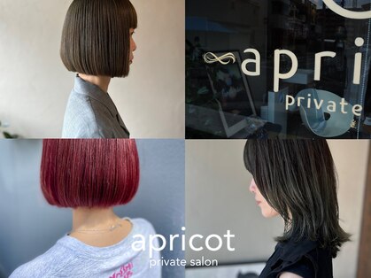 アプリコット(apricot)の写真