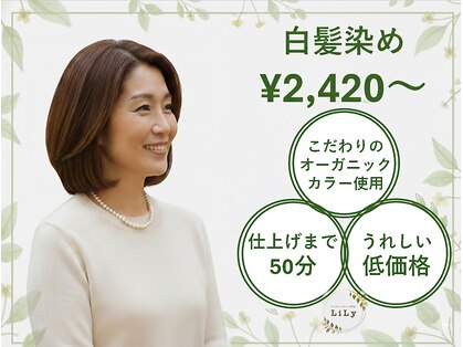 リリィー(LiLy)の写真