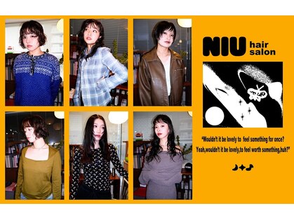 ニウ(NIU)の写真