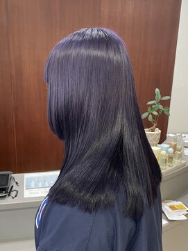 アリカ(arika) ブルーラベンダー