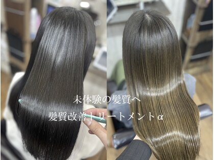 リナイト(Renight)の写真