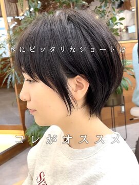 リンダ(LYNDA) カール/セミディ/シアーカラー/姫カット/仙台