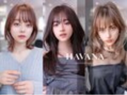 ドットハリス(.Hallis)の写真