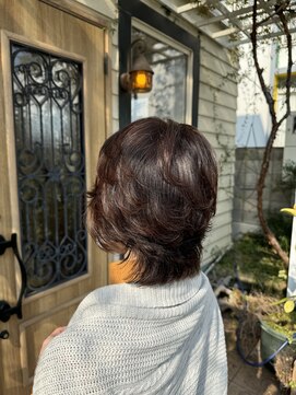 チョコレート(chocolate) ソフトウルフ