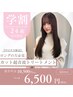 【学割U24】【平日夕方限定】カット＋超音波トリートメント ￥6500