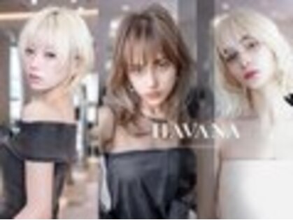 ドットハリス(.Hallis)の写真