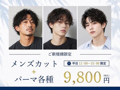 スター(STAR)の写真