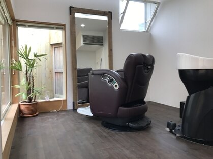 hair gallery indy