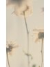 【夏のダメージケア◎ホームケアTR付】カット+カラー+TR+ナノバブル￥12000