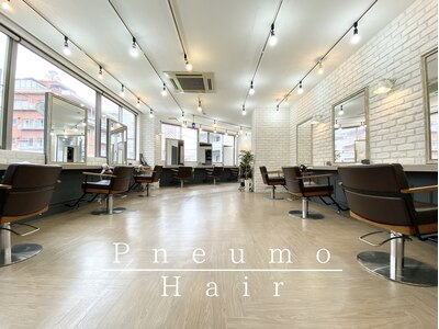 ニューモヘアー 立川(Pneumo hair)