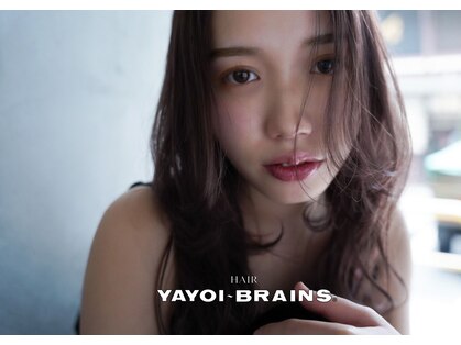 ヤヨイブレインズフェアリー(YAYOI BRAINS fairy)の写真