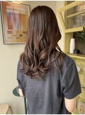 〈浅草 半個室〉シナモンベージュ