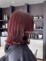 ジャパン ホンテン(JAPAN HONTEN)&nbsp;ブリーチなしレッドカラー♪