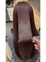 ペッツ プロフェッショナル(PETZ PROFESSIONAL)&nbsp;秋カラー ブリーチなしボルドー