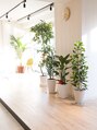 ビューイースト 亀戸 錦糸町(VIEW EAST) 昼間は自然光がたっぷりの落ち着く空間です。