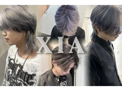 シア(XIA)の写真