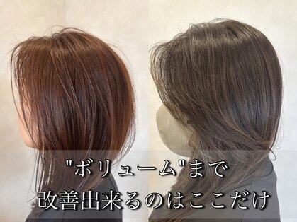 リーリエ(LILIE)の写真