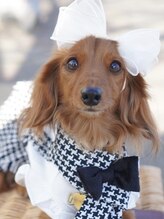 スターリースターリー(Starry Starry) てんちょう