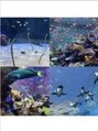 マイレ(maile) 水族館で写真撮るのも好きです☆