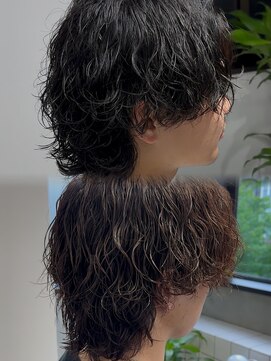 ステラ(STELLA) サーフカール/スパイラル/ウルフパーマ/ミディアムパーマ/メンズ