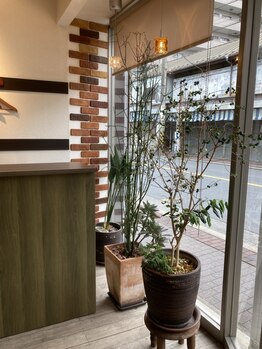 ヘアースタジオ ビス(hair studio Bis)の写真/ゆったり落ち着いた雰囲気の店内で、髪も心も癒される♪丁寧なカウンセリングであなたの理想を叶えます☆
