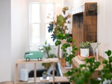 キューファイブアールイー(95RE)の雰囲気（店内には、雑貨や観葉植物が所々に）