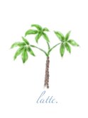 latte.hair_design
