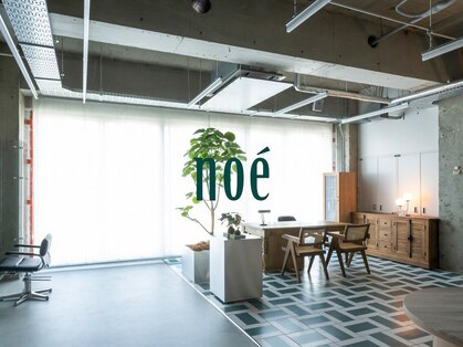 ノエ(noe)の写真