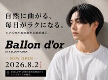 バロンドール 金沢文庫(Ballon d'or)の雰囲気（エリア唯一曲がる縮毛矯正施術可能サロン[MEN'S曲がる縮毛矯正]）