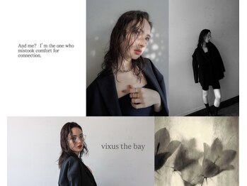 VIXUS the bay