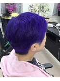 前頭全頭紫カラー