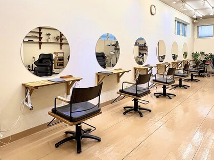 ニディー バイ デイジー(Nidee by Daisy)の写真