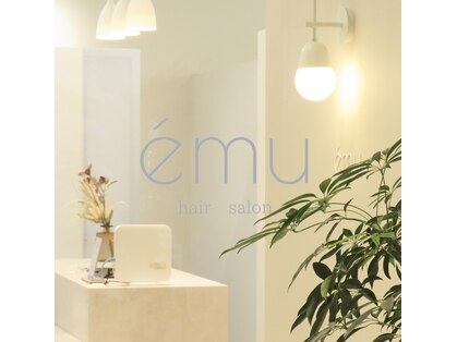 エミュ(emu)の写真